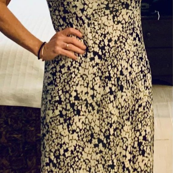 Talbots Silk Sheath, Size 6 Petite - NWT - Picture 3 of 5